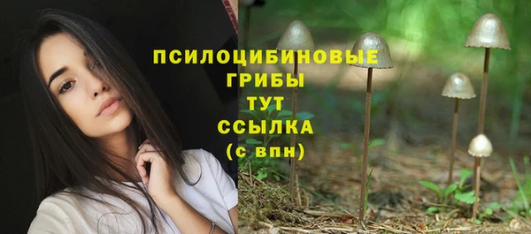 мескалин Верхний Тагил