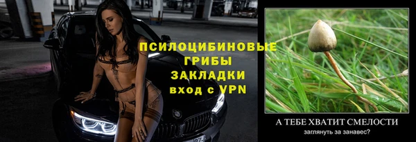 дмт Верея