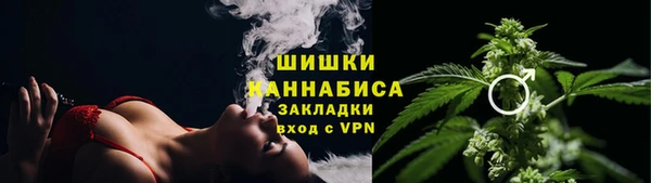 дмт Верея